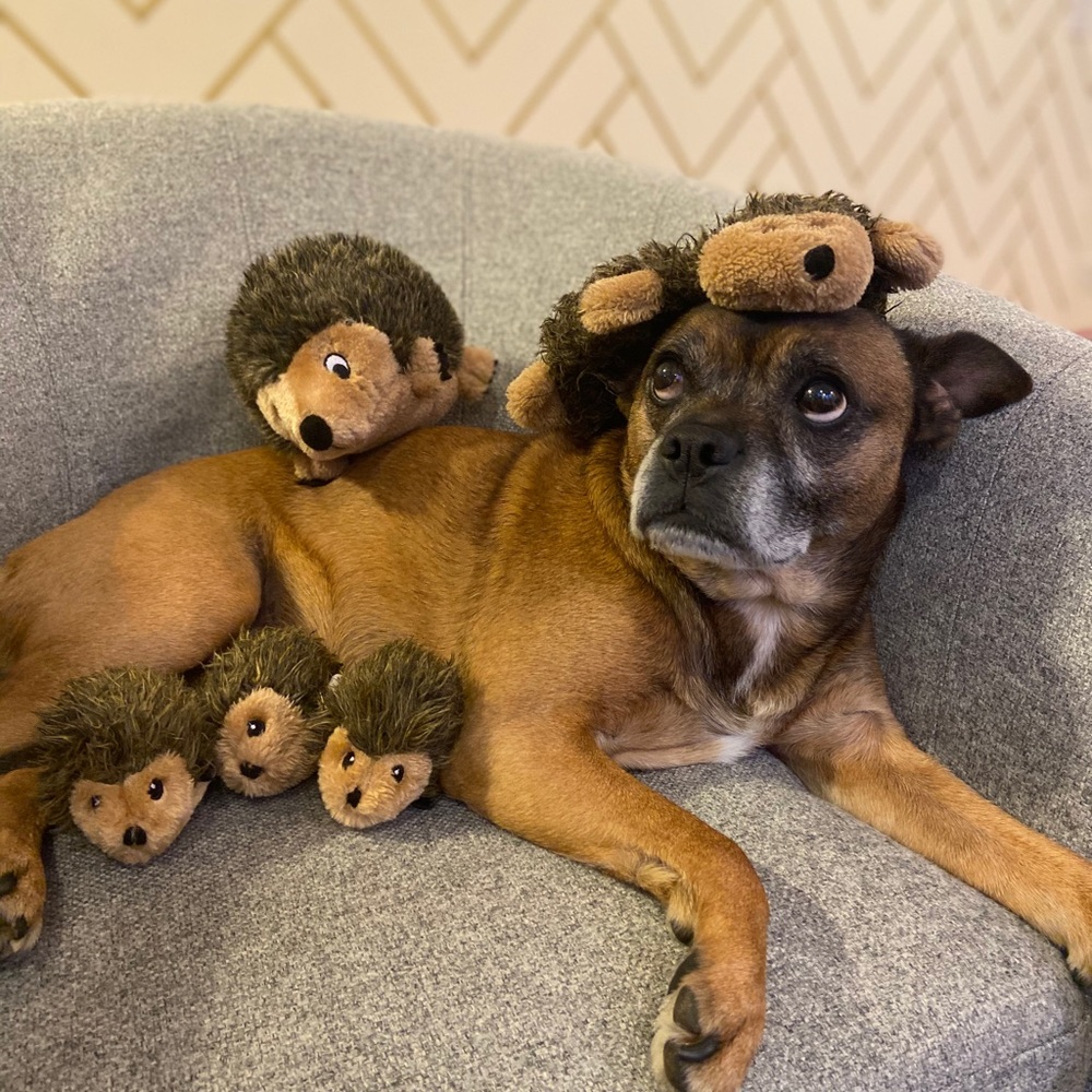 Meet your Posher, Genny